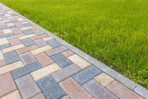 Best Professional Driveway Pavers  in South Toms River, NJ